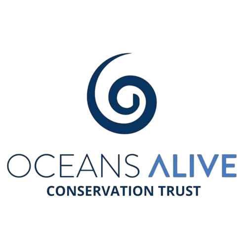 ocean alive conservation trust removebg preview