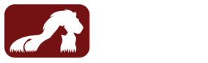 ewaso lions maroon logo