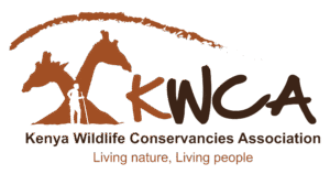kwca logo