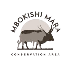 mbokishi mara conservation area removebg preview