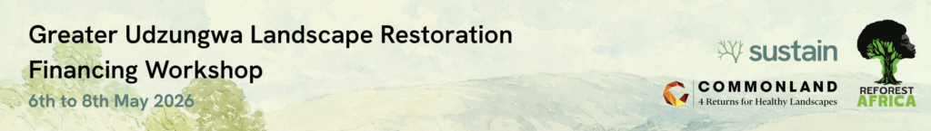 What we've published 6