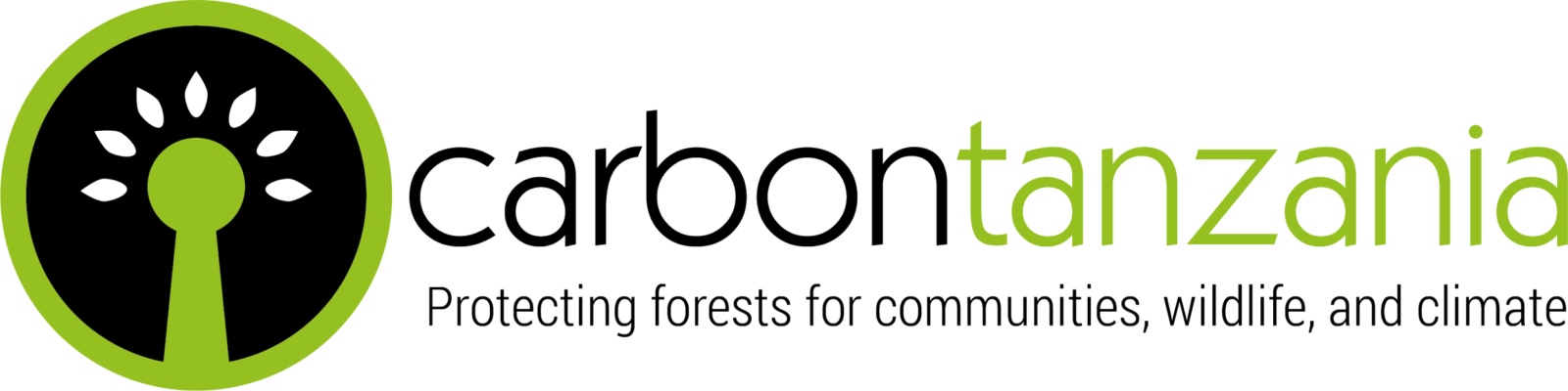 ct logo 2018.png