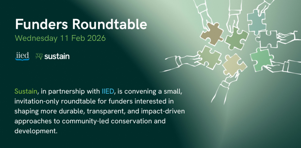 What we've published funders roundtable (3)