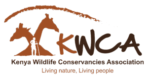 kwca logo.png