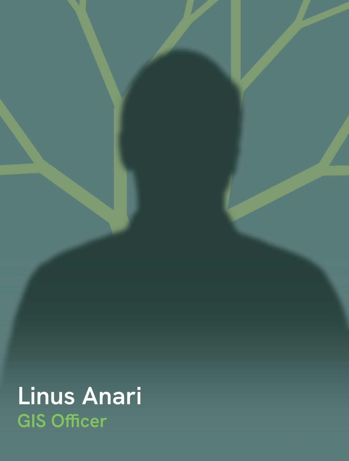 linus anari